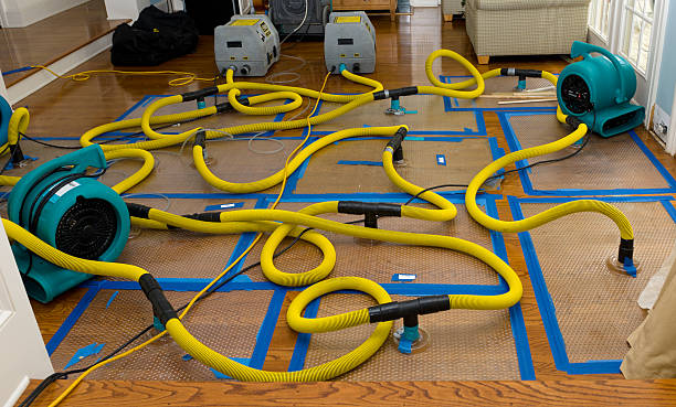 Professional Structural Drying And Dehumidification technician working in Papaaloa, HI